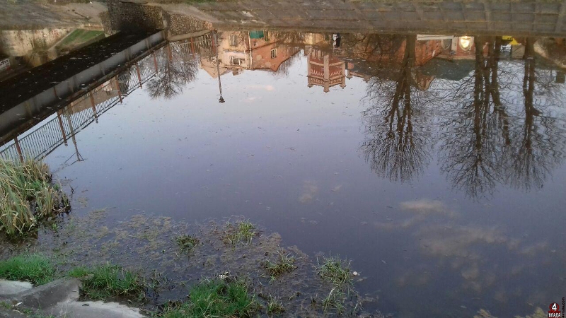 Неозброєним оком видно, що вода забруднена. До того ж запах біля води теж неприємний