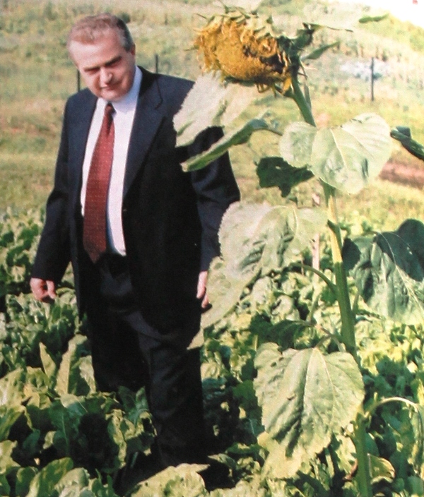 сорока