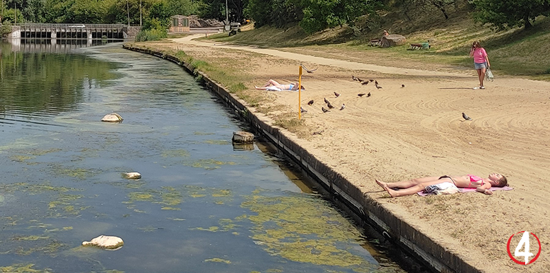 Басів Кут