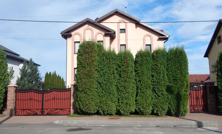 Березова 4